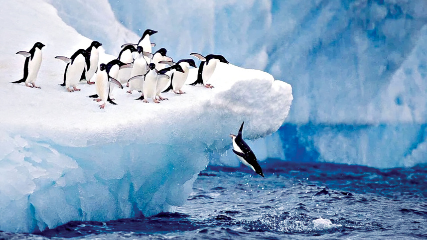 Antarctic sea ice improves after 4yrs of extreme lows
