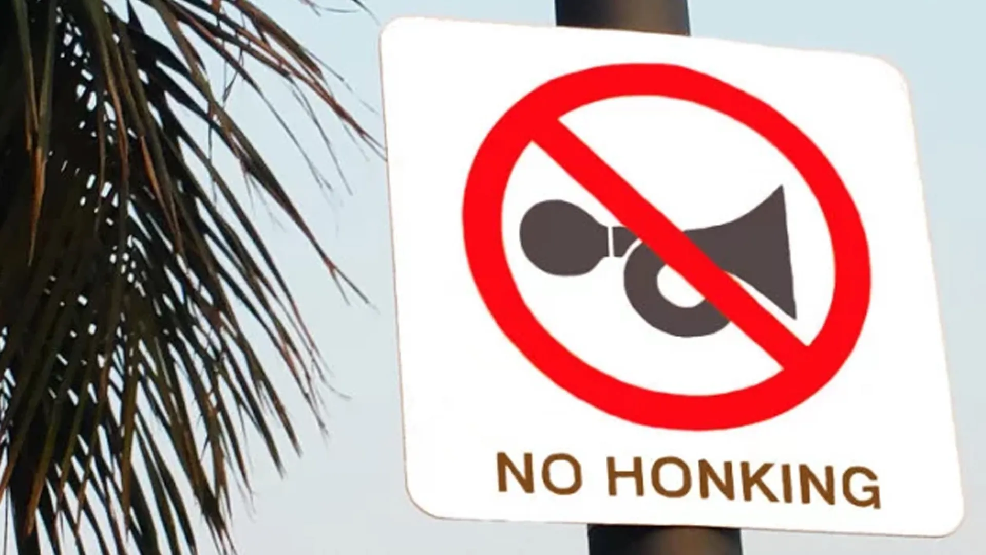 Strict action against noise pollution in Shahjalal Airport area: DNCC
