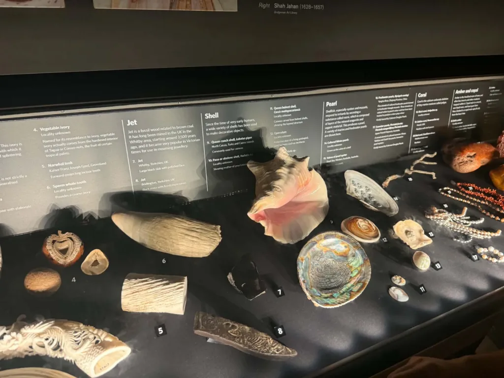 Where Nature, Science and History Come Alive!
